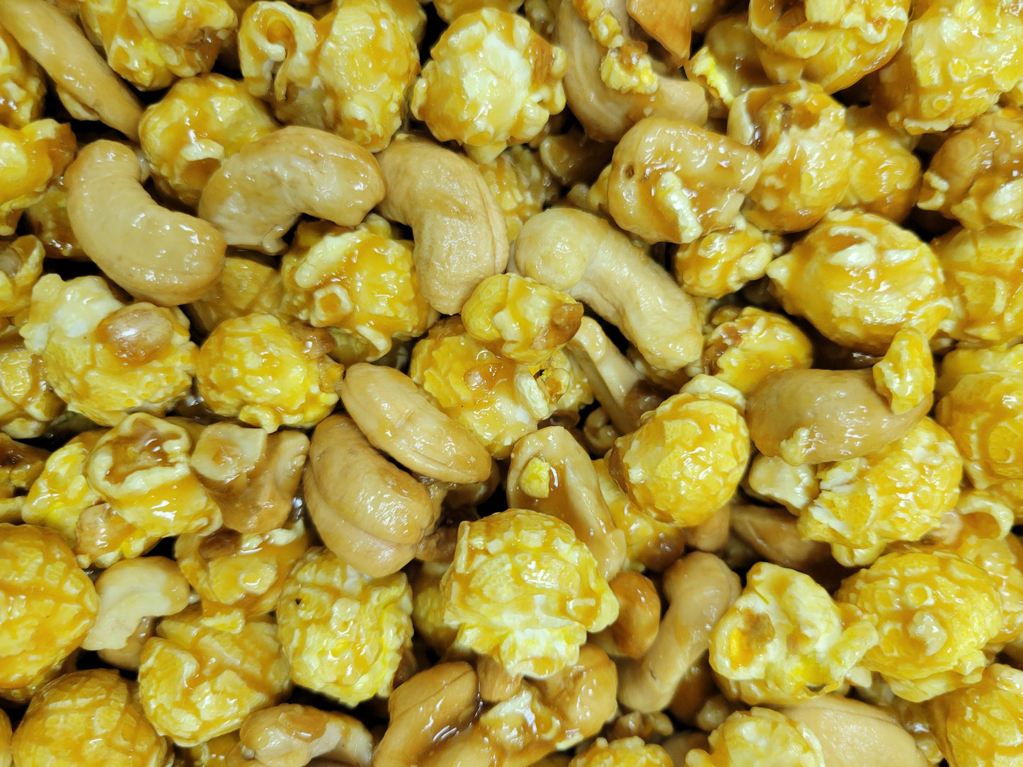 Regular Bag (13 Cups)