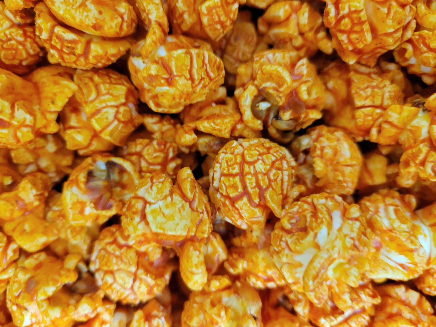 Regular Bag (13 Cups)