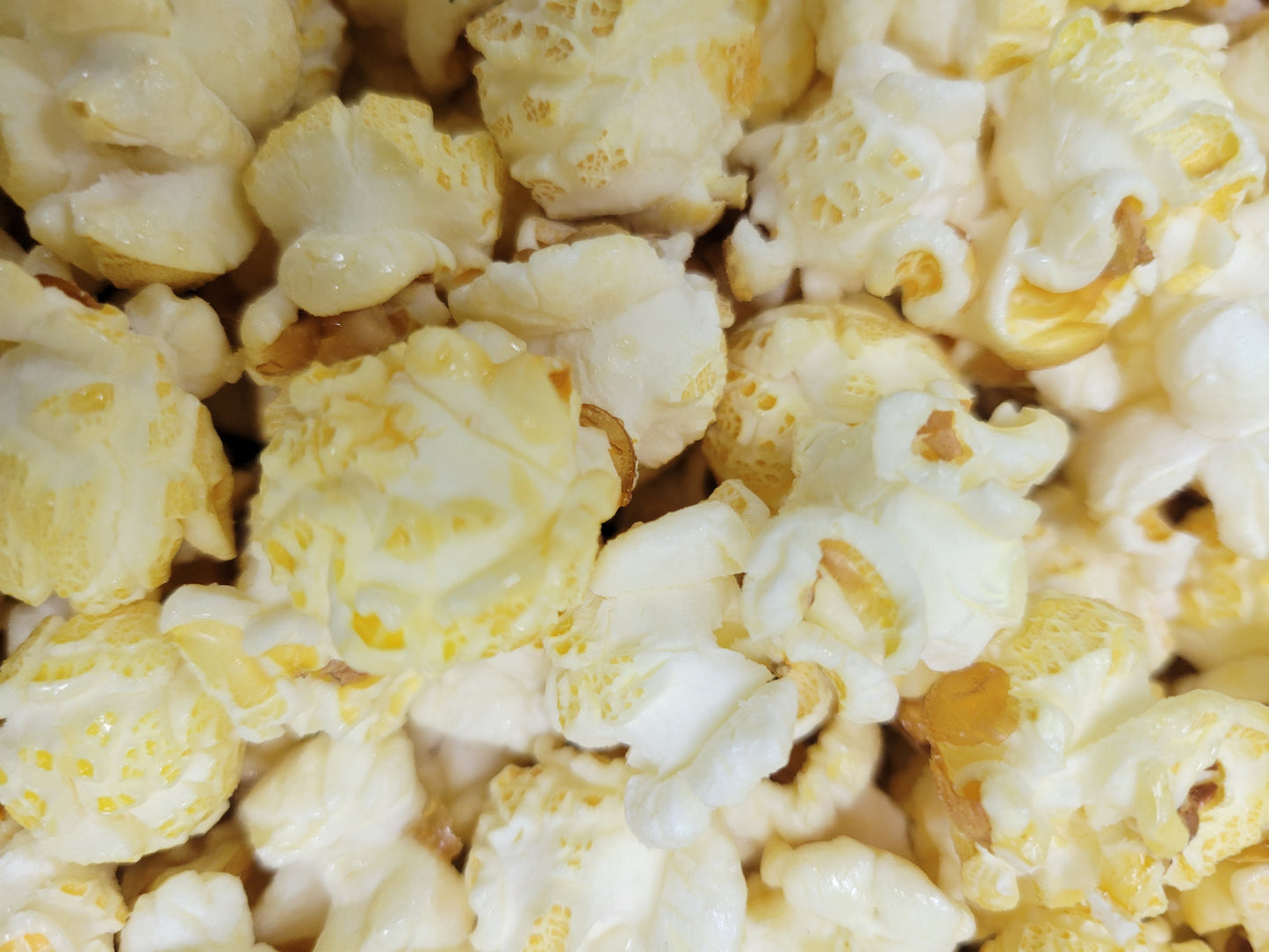 Medium Bag (26 Cups)