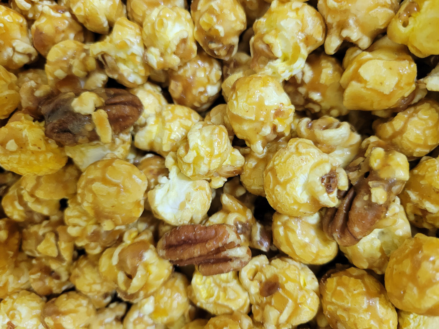 Regular Bag (13 Cups)